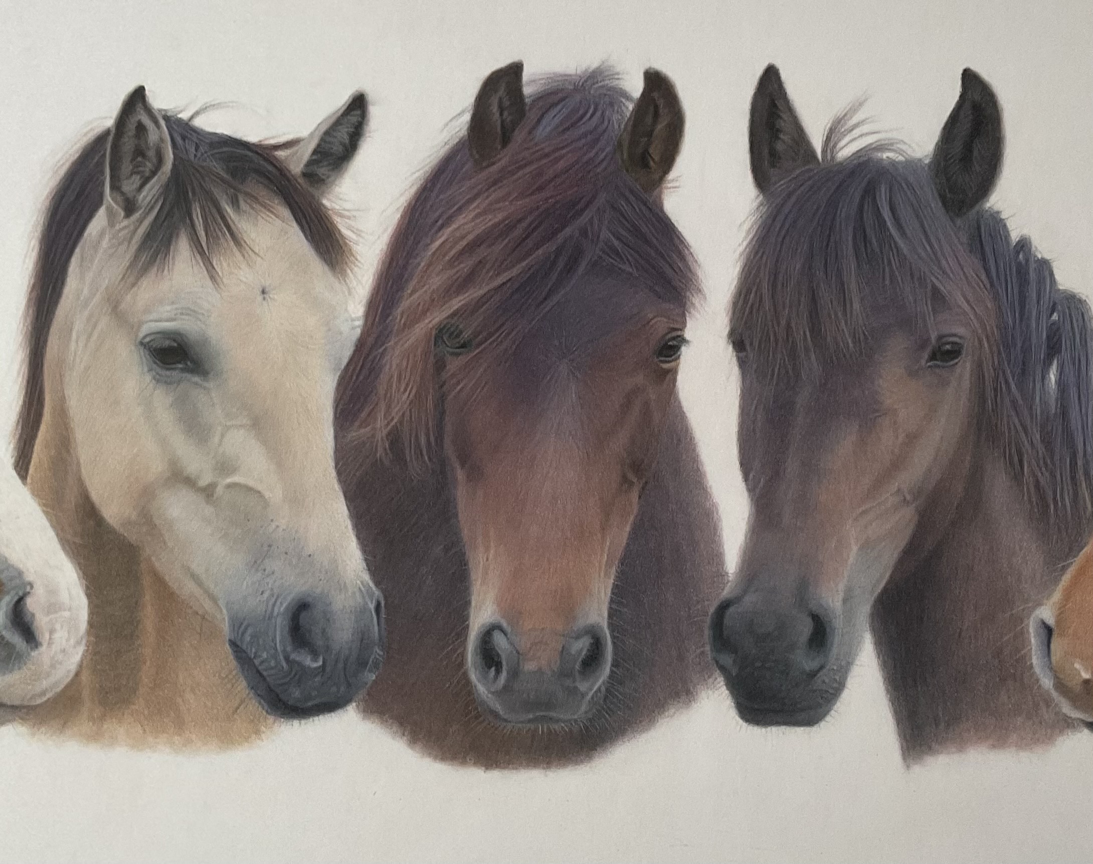 Cant find datafiles/artsdata/witham/witham1.jpg