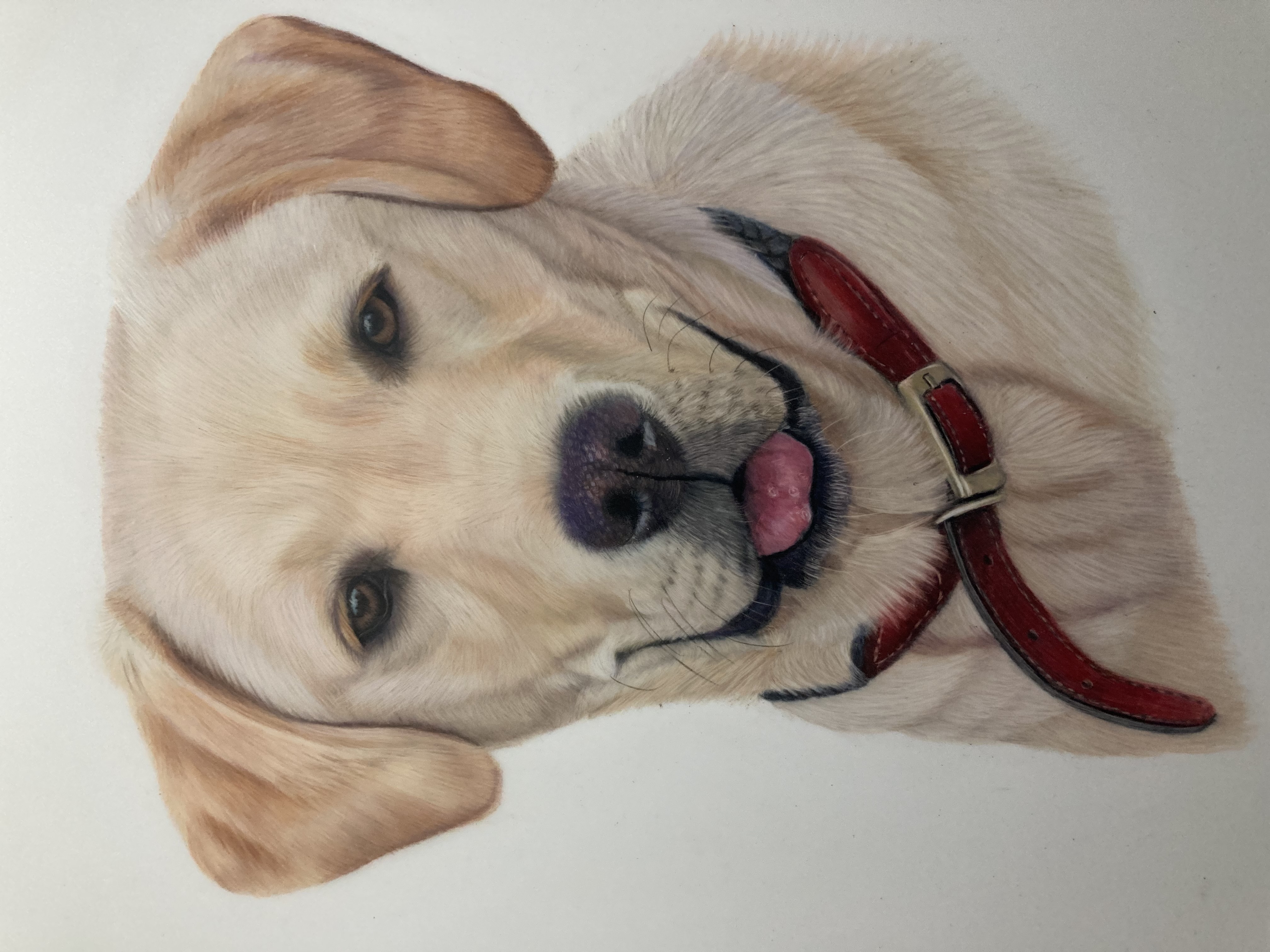 Cant find datafiles/artsdata/witham/witham2.jpg