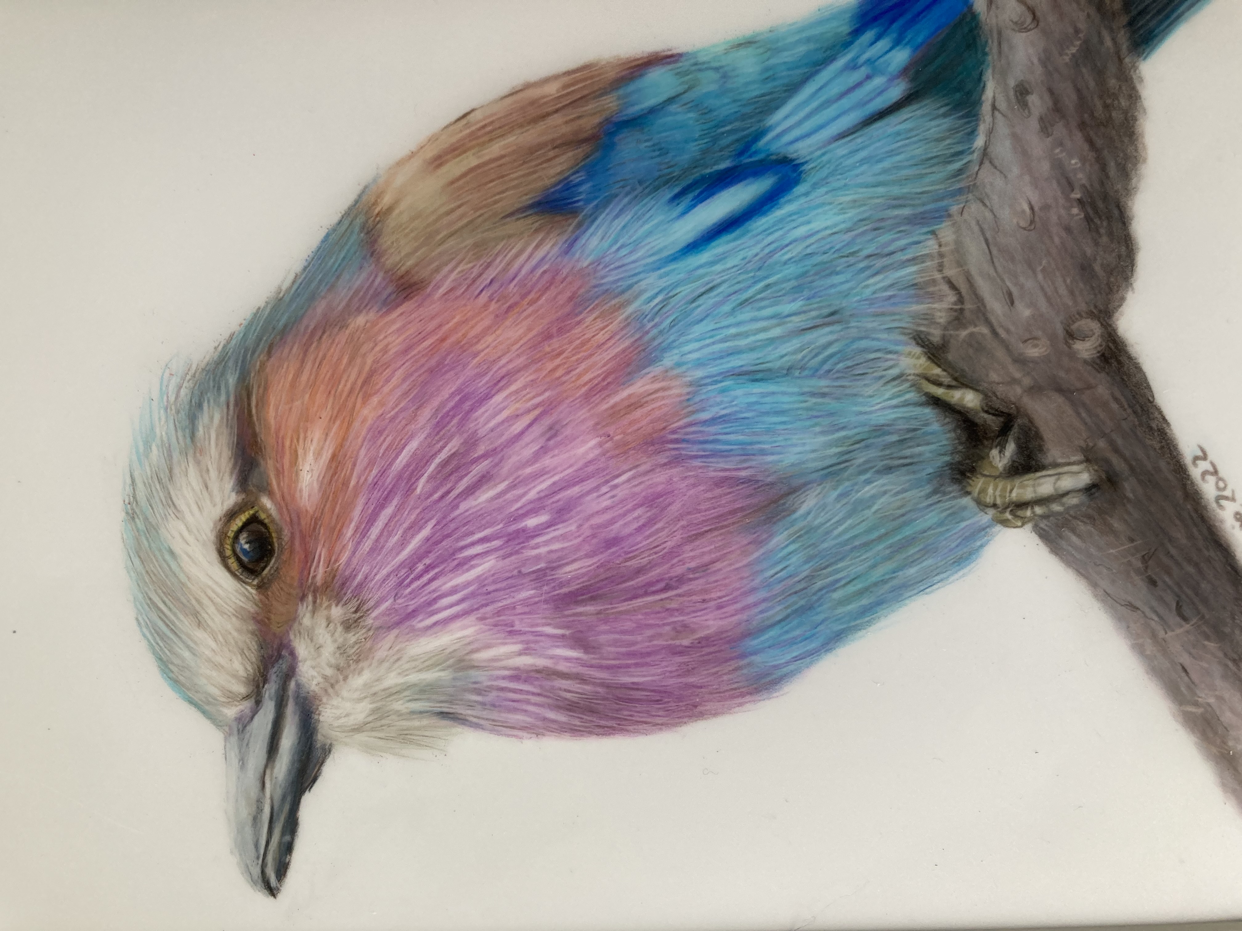 Cant find datafiles/artsdata/witham/witham3.jpg